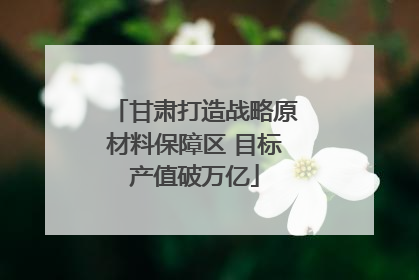 甘肃打造战略原材料保障区 目标产值破万亿