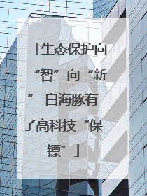 生态保护向“智”向“新” 白海豚有了高科技“保镖”