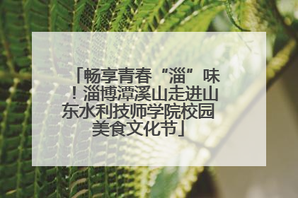 畅享青春“淄”味！淄博潭溪山走进山东水利技师学院校园美食文化节