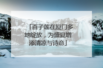 百子莲在厦门多地绽放，为盛夏增添清凉与诗意