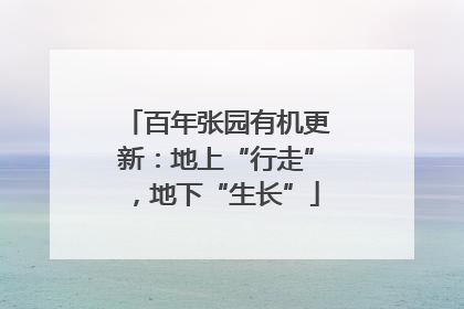 百年张园有机更新：地上“行走”，地下“生长”