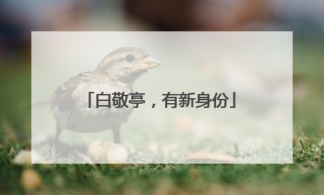 白敬亭，有新身份