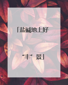 盐碱地上好“丰”景