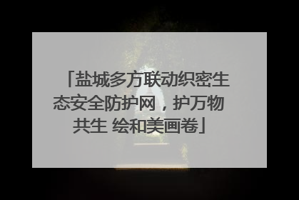 盐城多方联动织密生态安全防护网，护万物共生 绘和美画卷