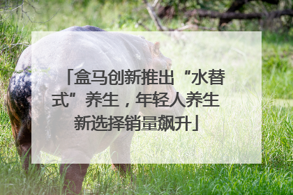 盒马创新推出“水替式”养生，年轻人养生新选择销量飙升