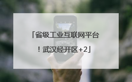 省级工业互联网平台！武汉经开区+2