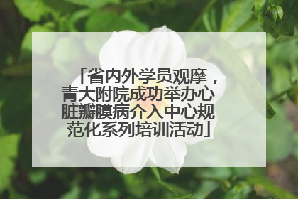 省内外学员观摩，青大附院成功举办心脏瓣膜病介入中心规范化系列培训活动