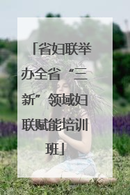 省妇联举办全省“三新”领域妇联赋能培训班