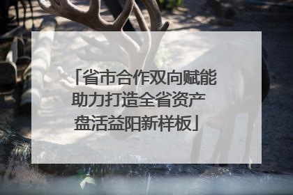 省市合作双向赋能 助力打造全省资产盘活益阳新样板