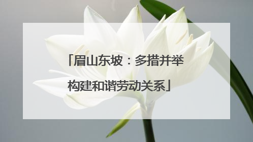 眉山东坡：多措并举构建和谐劳动关系
