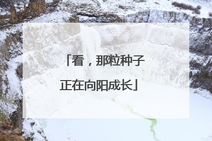 看，那粒种子正在向阳成长