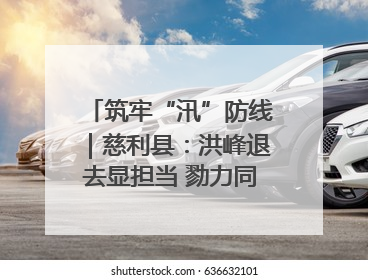 筑牢“汛”防线｜慈利县：洪峰退去显担当 勠力同心启新篇