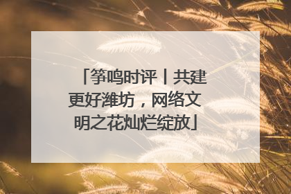 筝鸣时评丨共建更好潍坊，网络文明之花灿烂绽放