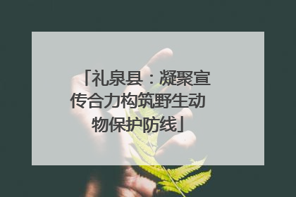 礼泉县：凝聚宣传合力构筑野生动物保护防线