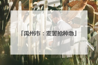 禹州市：麦罢抢种急