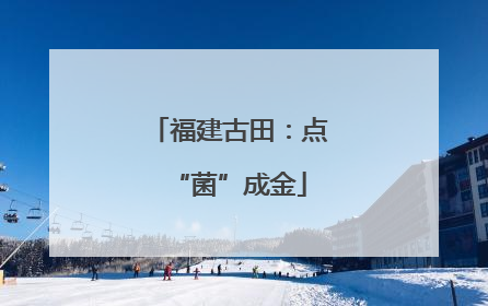 福建古田：点“菌”成金