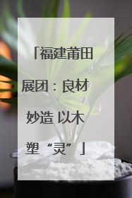 福建莆田展团：良材妙造 以木塑“灵”
