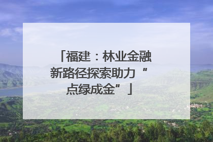 福建：林业金融新路径探索助力“点绿成金”