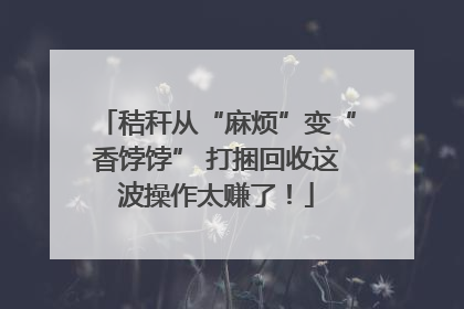 秸秆从“麻烦”变“香饽饽” 打捆回收这波操作太赚了！
