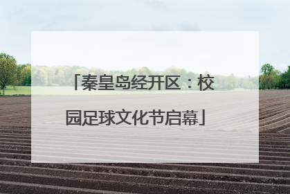 秦皇岛经开区：校园足球文化节启幕