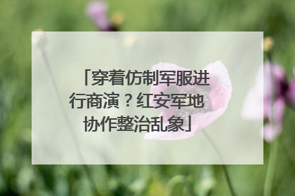 穿着仿制军服进行商演？红安军地协作整治乱象