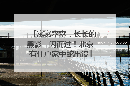 窸窸窣窣，长长的黑影一闪而过！北京有住户家中蛇出没