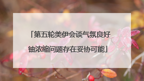 第五轮美伊会谈气氛良好 铀浓缩问题存在妥协可能