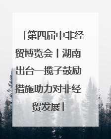 第四届中非经贸博览会丨湖南出台一揽子鼓励措施助力对非经贸发展