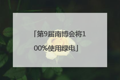 第9届南博会将100%使用绿电