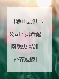 罗山县供电公司：排查配网隐患 精准补齐短板