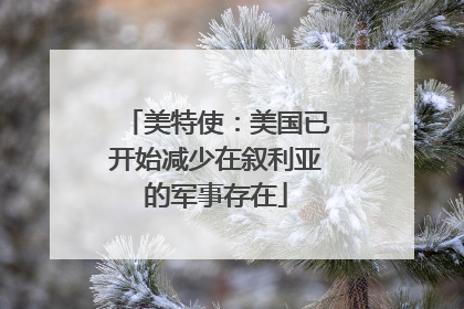 美特使：美国已开始减少在叙利亚的军事存在