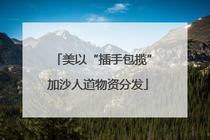美以“插手包揽”加沙人道物资分发