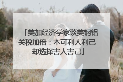 美加经济学家谈美钢铝关税加倍：本可利人利己 却选择害人害己