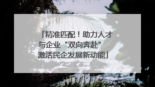 精准匹配！助力人才与企业“双向奔赴” 激活民企发展新动能
