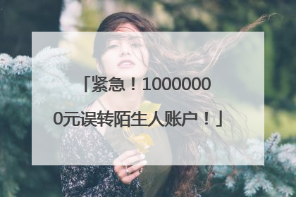 紧急！10000000元误转陌生人账户！