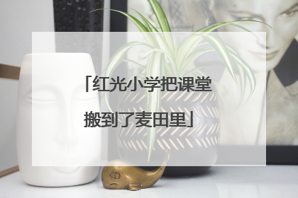 红光小学把课堂搬到了麦田里