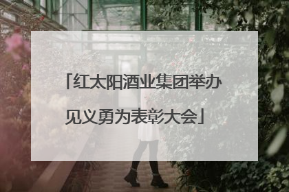 红太阳酒业集团举办见义勇为表彰大会