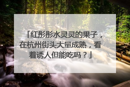 红彤彤水灵灵的果子，在杭州街头大量成熟，看着诱人但能吃吗？