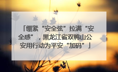 绷紧“安全弦”拉满“安全感”，黑龙江省双鸭山公安用行动为平安“加码”