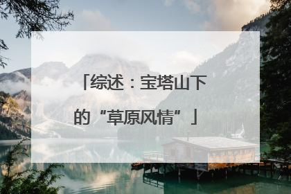 综述：宝塔山下的“草原风情”