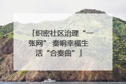 织密社区治理“一张网” 奏响幸福生活“合奏曲”