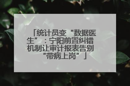 统计员变“数据医生”：宁阳前置纠错机制让审计报表告别“带病上岗”