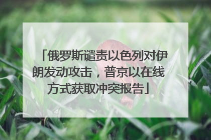 俄罗斯谴责以色列对伊朗发动攻击，普京以在线方式获取冲突报告
