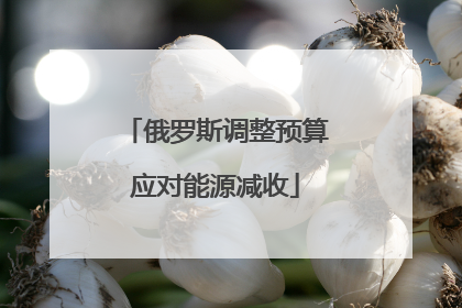 俄罗斯调整预算应对能源减收