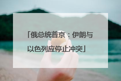 俄总统普京：伊朗与以色列应停止冲突