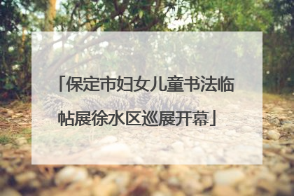 保定市妇女儿童书法临帖展徐水区巡展开幕