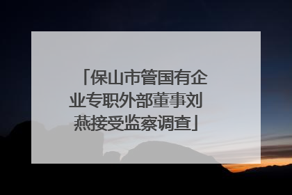 保山市管国有企业专职外部董事刘燕接受监察调查