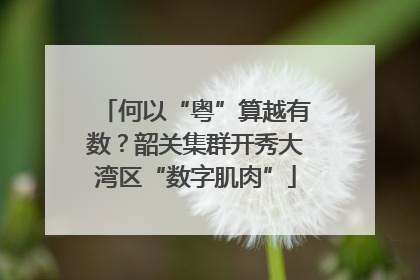 何以“粤”算越有数？韶关集群开秀大湾区“数字肌肉”