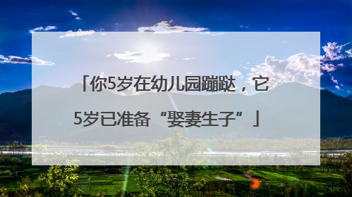 你5岁在幼儿园蹦跶，它5岁已准备“娶妻生子”