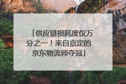供应链损耗度仅万分之一！来自嘉定的京东物流师夺冠